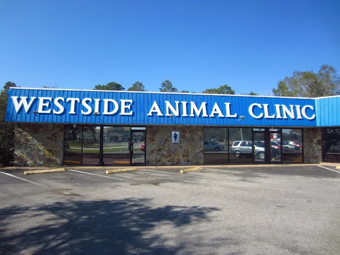 Westside Animal Clinic 12