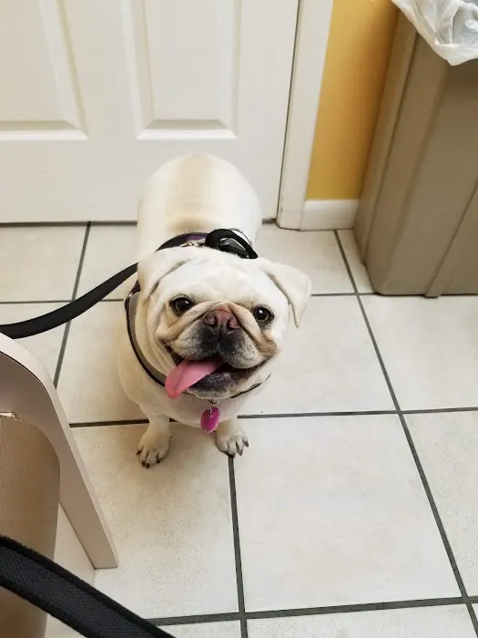 Westside Animal Clinic 12