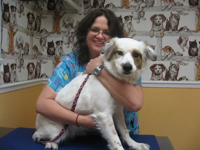 Westside Animal Clinic 12