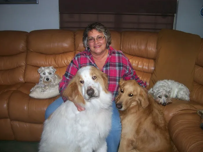 Westside Animal Clinic 12