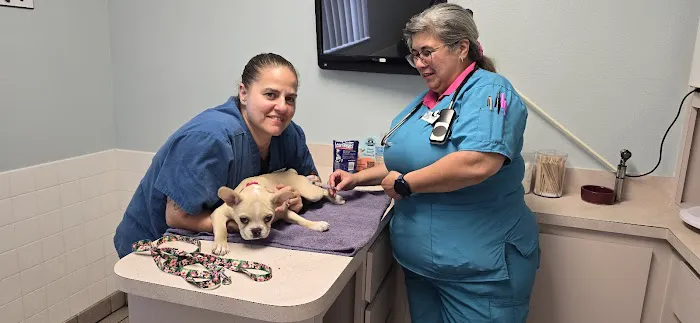 Animal Medical Clinic of Spring Hill 12
