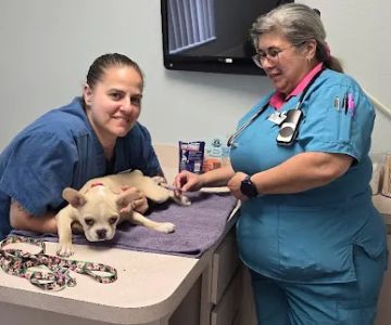 Animal Medical Clinic of Spring Hill