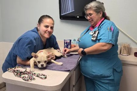 Animal Medical Clinic of Spring Hill