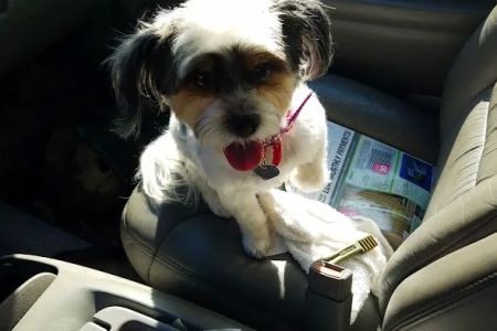 Animal Care Center-Weeki Wachee