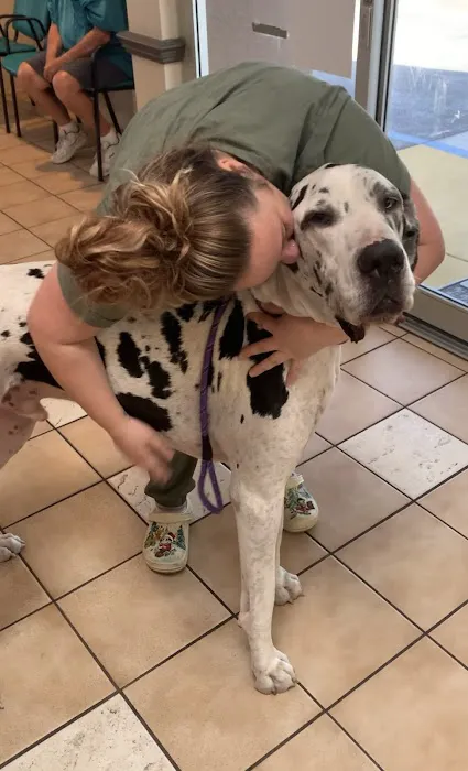 Animal Care Center-Weeki Wachee 9