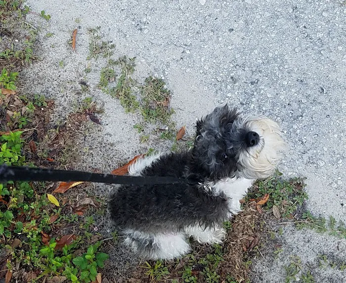 Animal Care Center-Weeki Wachee 7