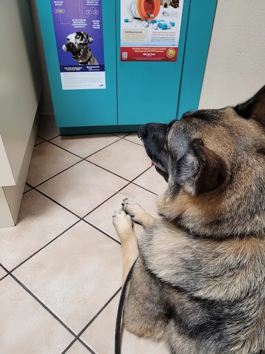 Animal Care Center-Weeki Wachee 8