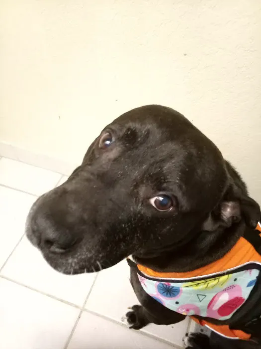 Animal Care Center-Weeki Wachee 10