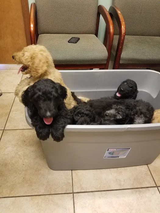 Animal Health Veterinary Clinic 5
