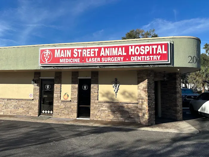 Main Street Animal Hospital 12
