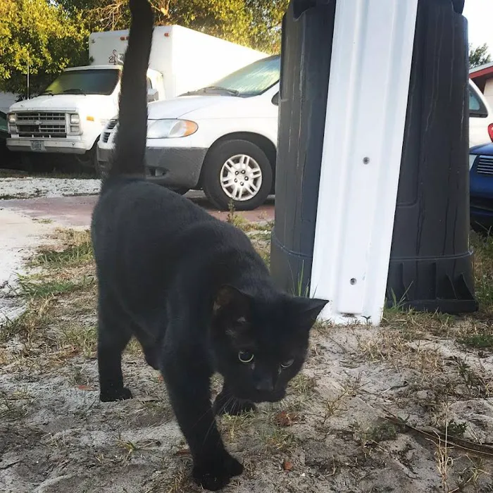 Anclote Animal Hospital 12