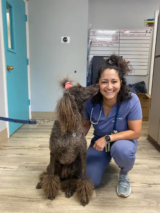 Anclote Animal Hospital 12