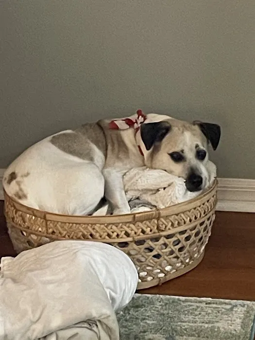 Anclote Animal Hospital 12