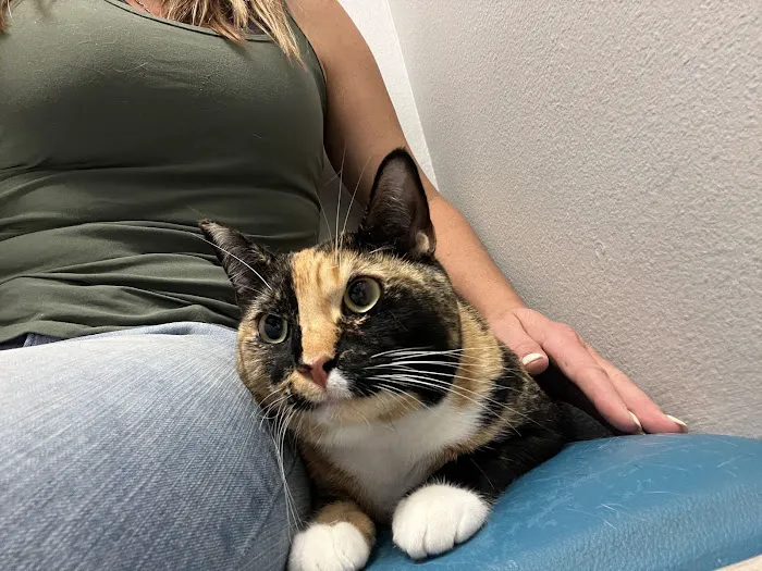 Anclote Animal Hospital 12