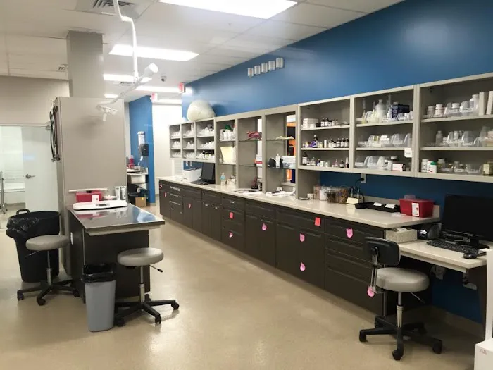 Day & Evening Pet Hospital & Surgical Center, A Thrive Pet Healthcare Partner 4