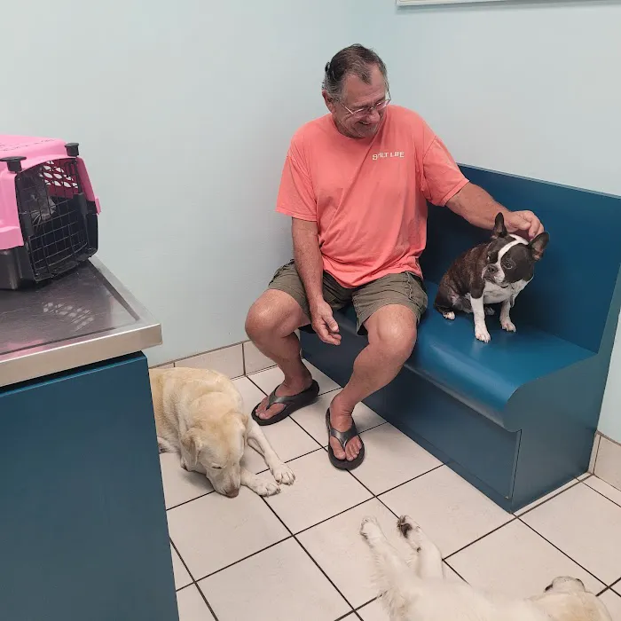 TLC Animal Hospital 12