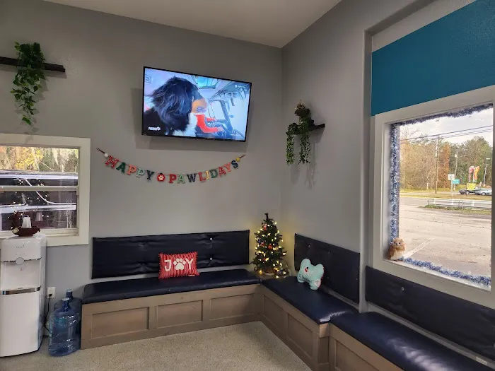 Three Oaks Veterinary Wellness Center 4