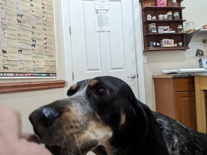 Three Oaks Veterinary Wellness Center 2