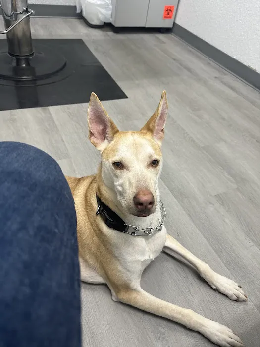 Apex Veterinary Hospital 3