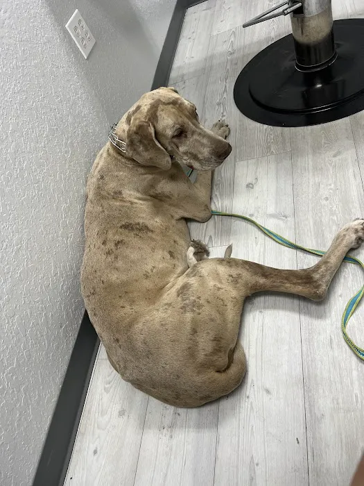 Apex Veterinary Hospital 6