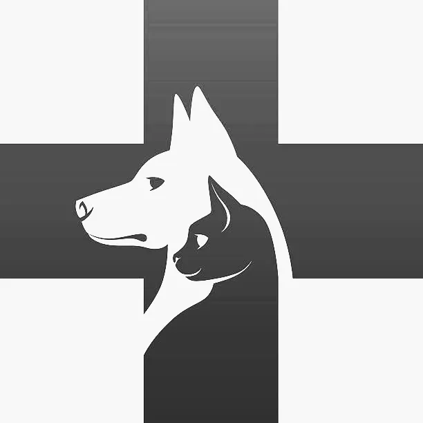 Apex Veterinary Hospital 8