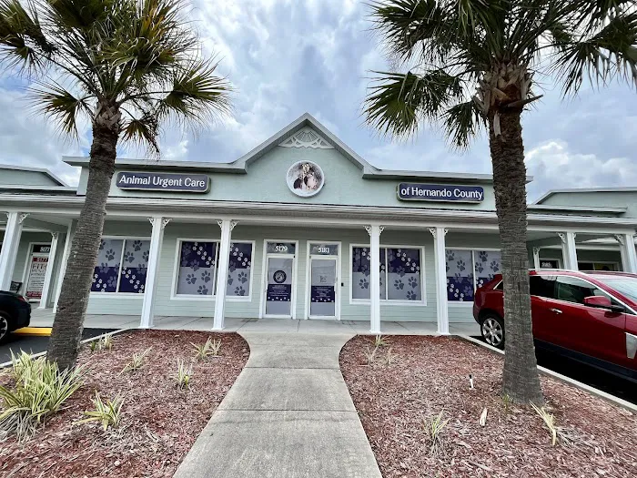 Animal Urgent Care of Hernando County 12