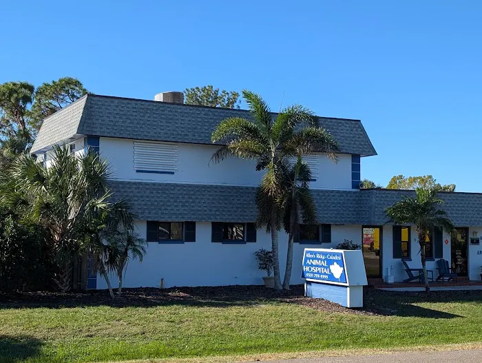 Caladesi Animal Hospital 12