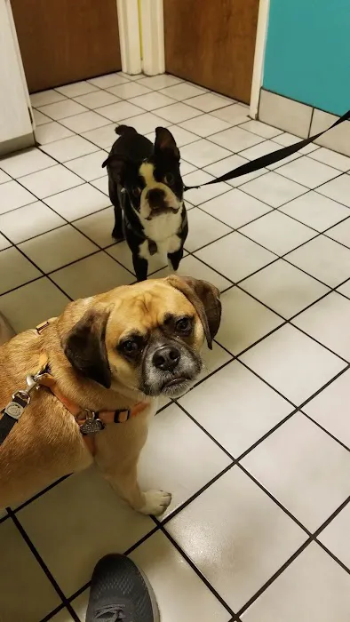Caladesi Animal Hospital 12