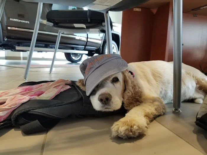 Caladesi Animal Hospital 12