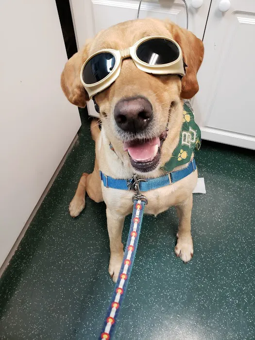 Country Oaks Animal Hospital & Boarding Kennel 10