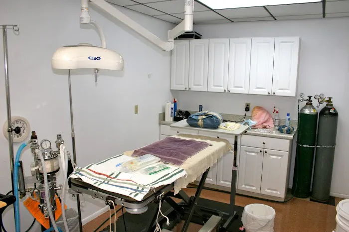 Sunset Veterinary Surgery 3