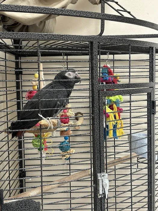 A Pet's Place of Clearwater 12