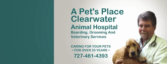 A Pet's Place of Clearwater 12