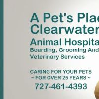 A Pet's Place of Clearwater ico