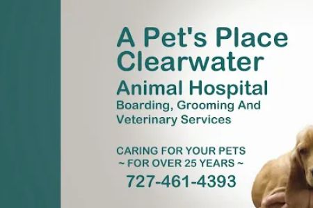 A Pet's Place of Clearwater