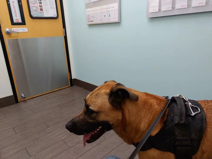 Banfield Pet Hospital 12
