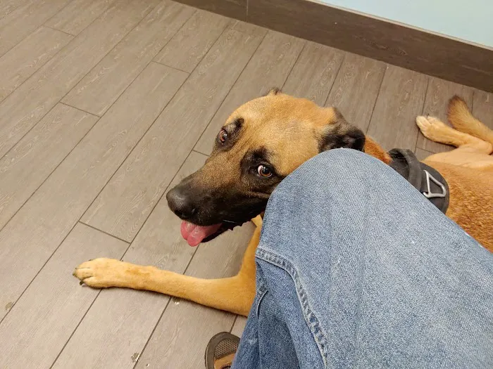 Banfield Pet Hospital 12