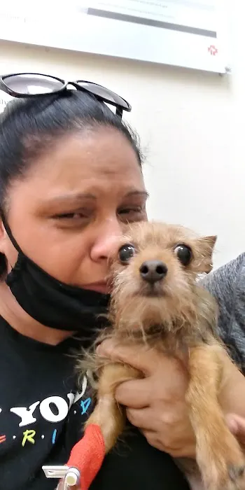 Banfield Pet Hospital 12