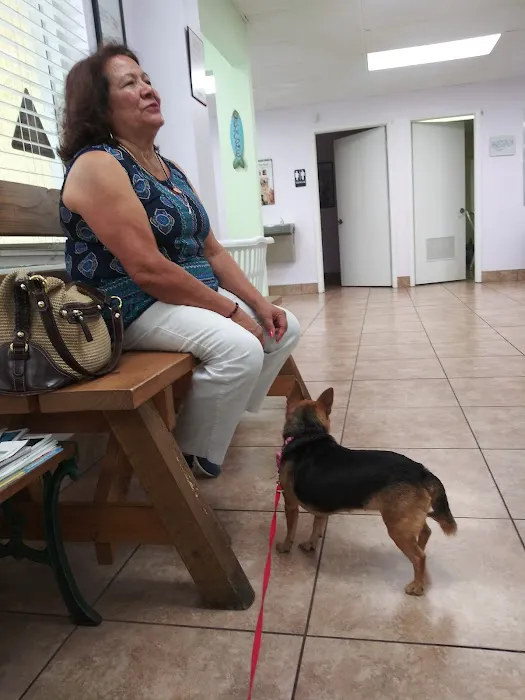 Spay & Neuter Clinic 12