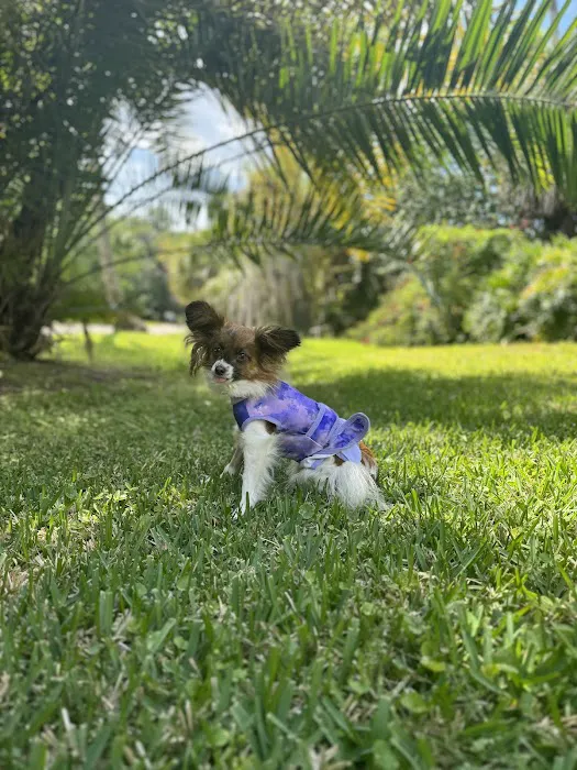 Spay & Neuter Clinic 12