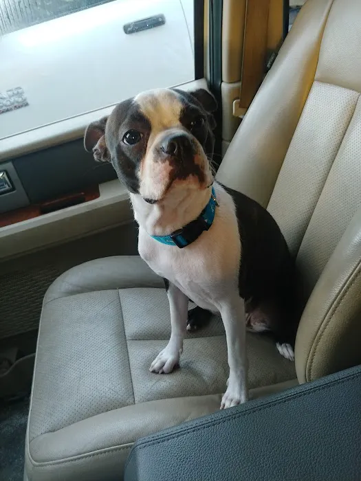 Banfield Pet Hospital 2
