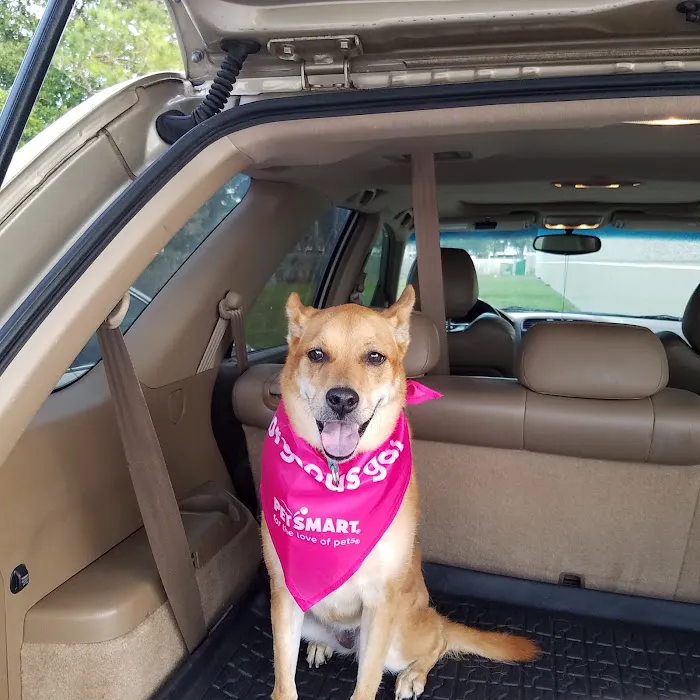 Banfield Pet Hospital 5