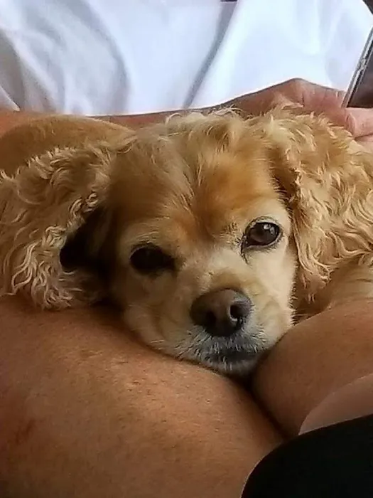 Banfield Pet Hospital 6
