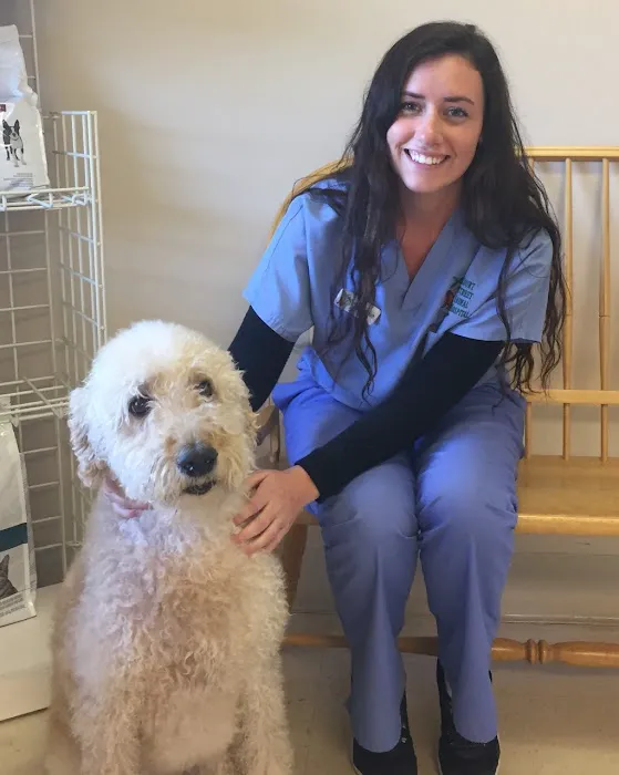 Court Street Animal Hospital 12