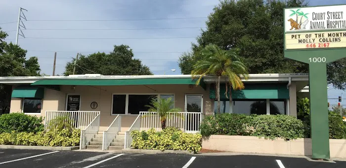 Court Street Animal Hospital 12