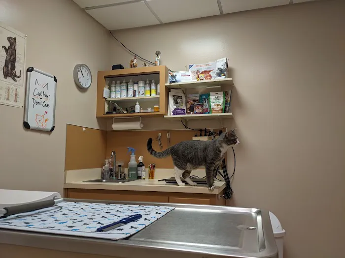 Court Street Animal Hospital 12