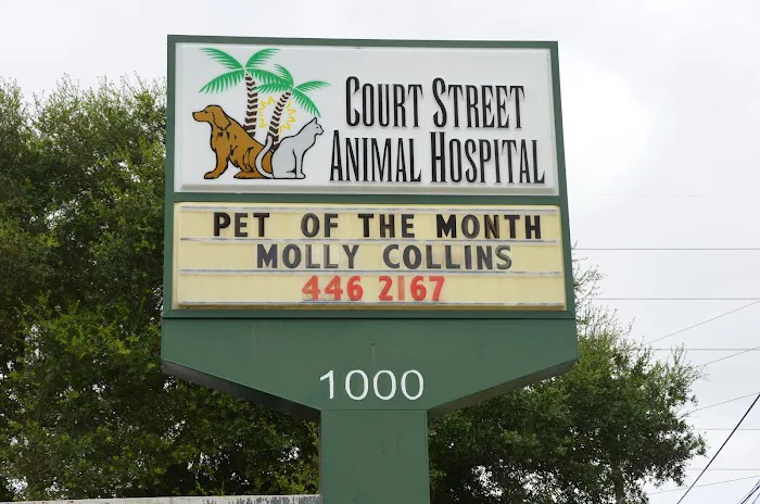 Court Street Animal Hospital 12