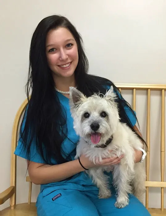 Court Street Animal Hospital 12