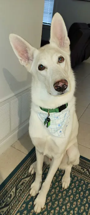 Banfield Pet Hospital 1