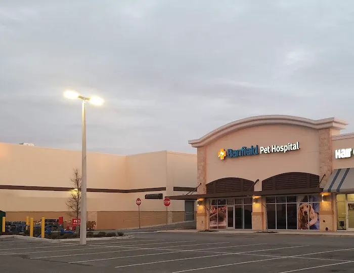 Banfield Pet Hospital 2